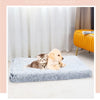 A fluffy golden puppy is lying on a rectangular gray pet mat in a bright room.
