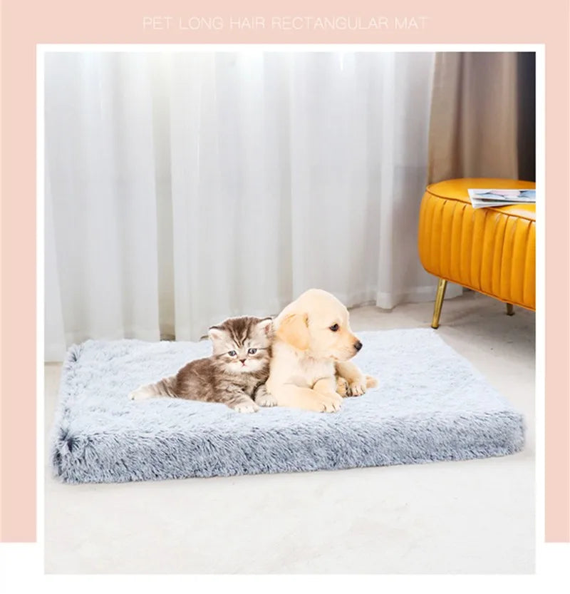 A fluffy golden puppy is lying on a rectangular gray pet mat in a bright room.