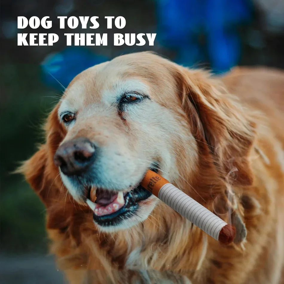 A golden retriever is shown with a brown chew toy between its teeth.