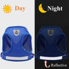 Blue mesh dog vest harness shown in day and night contexts, highlighting its reflective features.