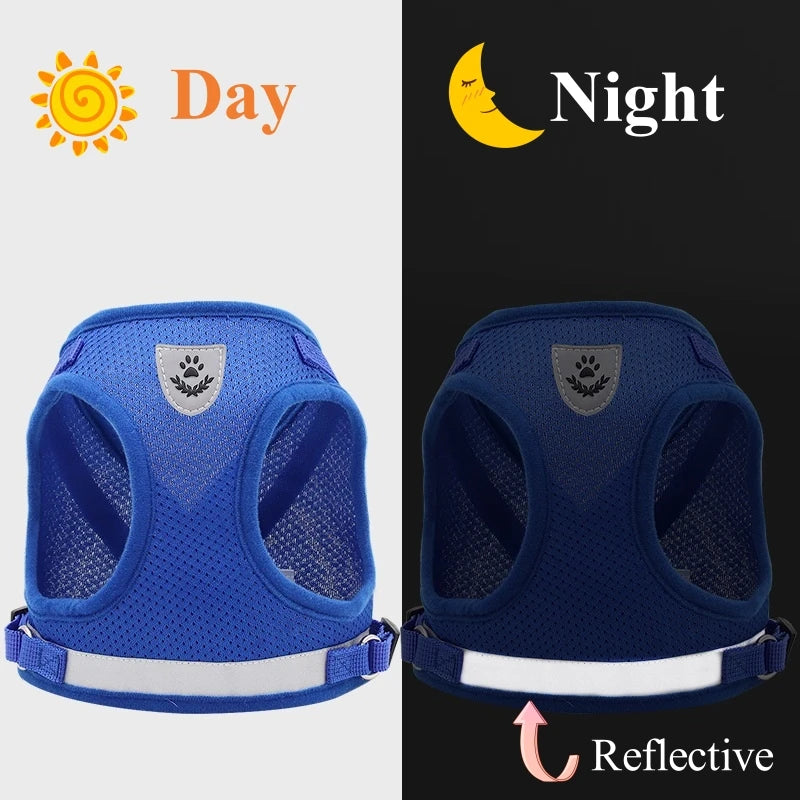 Blue mesh dog vest harness shown in day and night contexts, highlighting its reflective features.