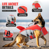 A golden dog wearing a red and gray life jacket for swimming training, showing various features like handles and buckles.