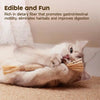 A fluffy gray cat is lying down and gently chewing a natural silver vine cat chew toy.