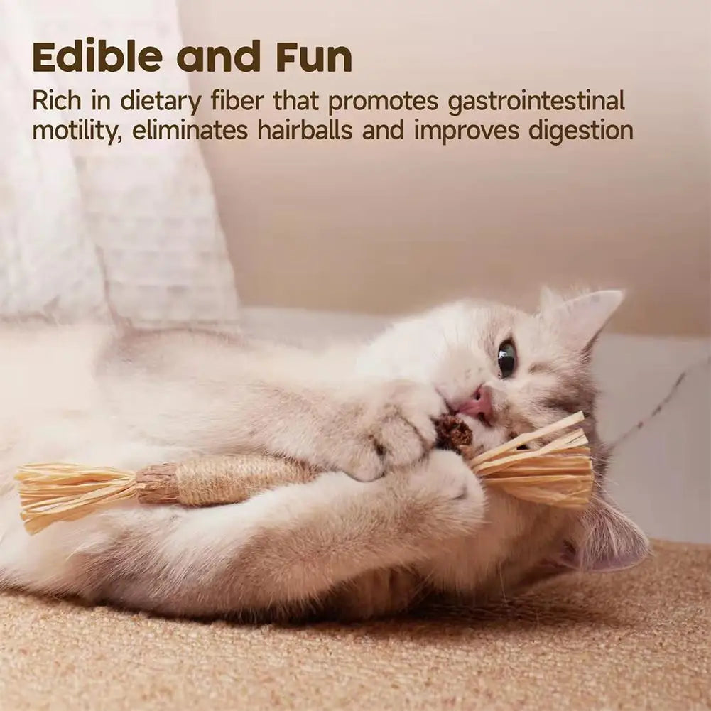 A fluffy gray cat is lying down and gently chewing a natural silver vine cat chew toy.