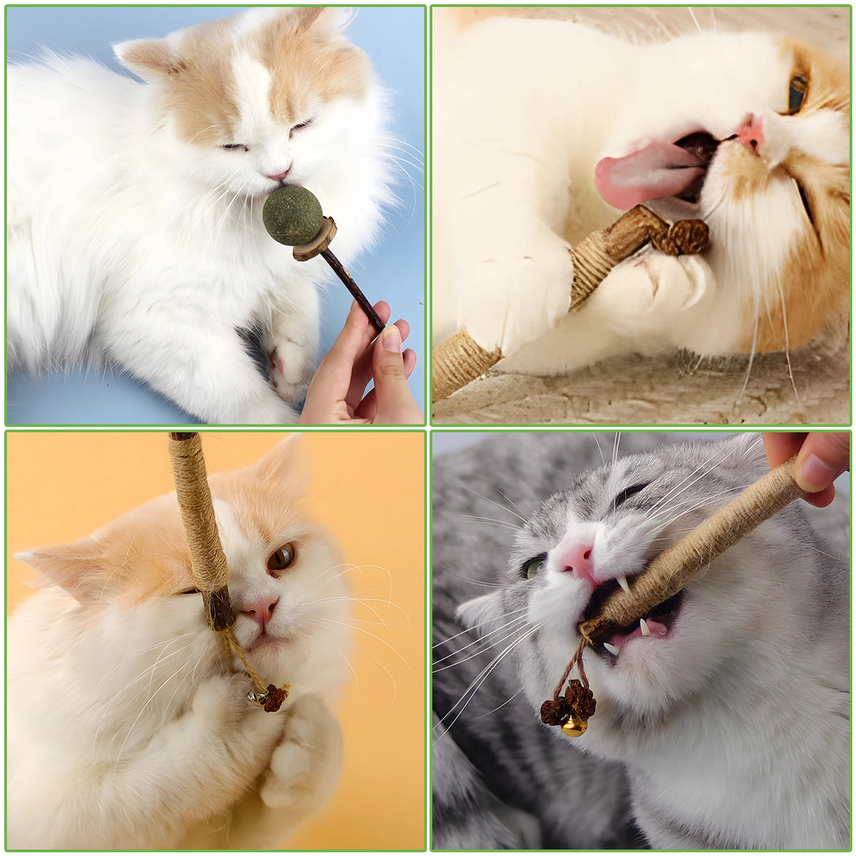 Three images showing a cat chewing natural silvervine sticks for dental health and relaxation.