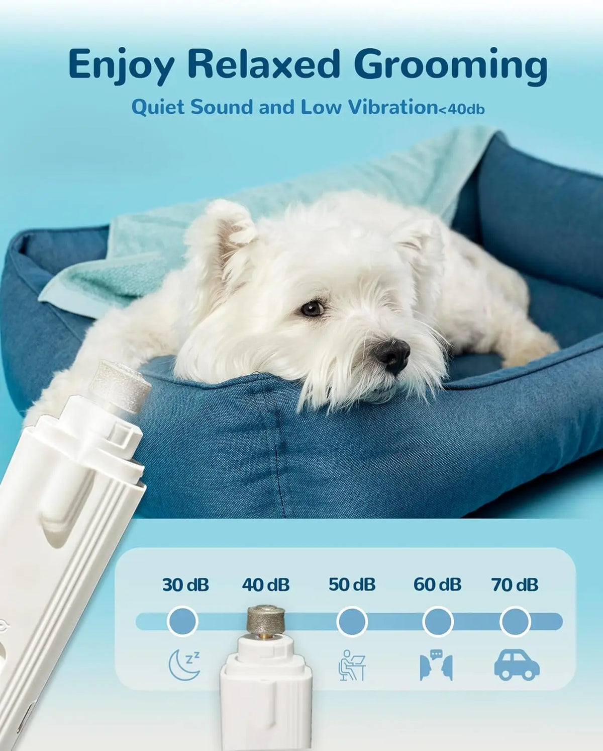 Ein weißer Hund entspannt sich in einem blauen Pflegegerät mit elektrischem Nagelschleifer und Klippern.