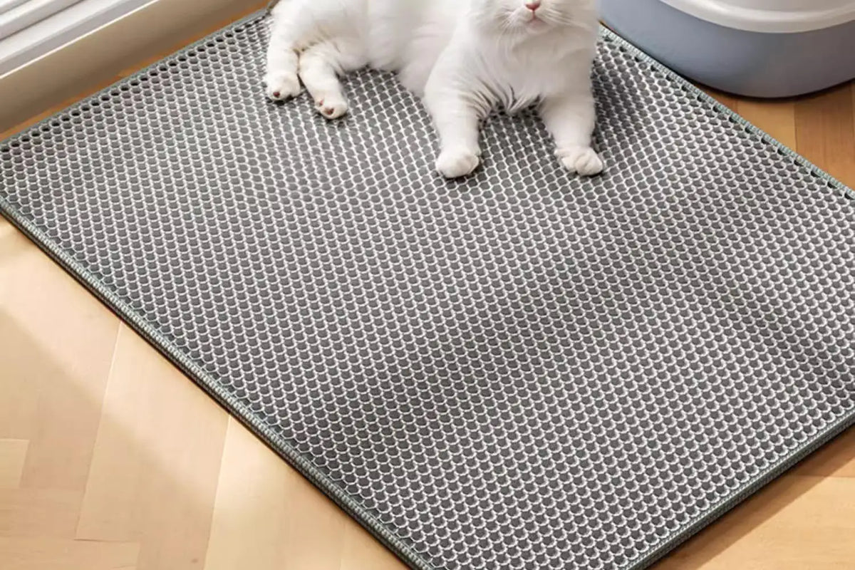 Eine weiße Katze steht auf einer grauen, strukturierten Unterlage auf einem hellen Holzfußboden.