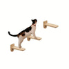 Eine schwarz-weiße Katze klettert auf ein hölzernes Wandregal zum Klettern.