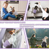 A woman is shown helping a dog, while a child is also pictured in the context of reusable female dog diapers.
