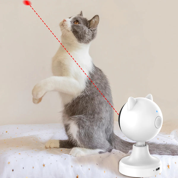 A gray and white cat looks up at an automatic laser toy device on a white surface.