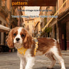 A small, fluffy brown and white dog wearing a yellow checkered harness and leash walking outdoors.