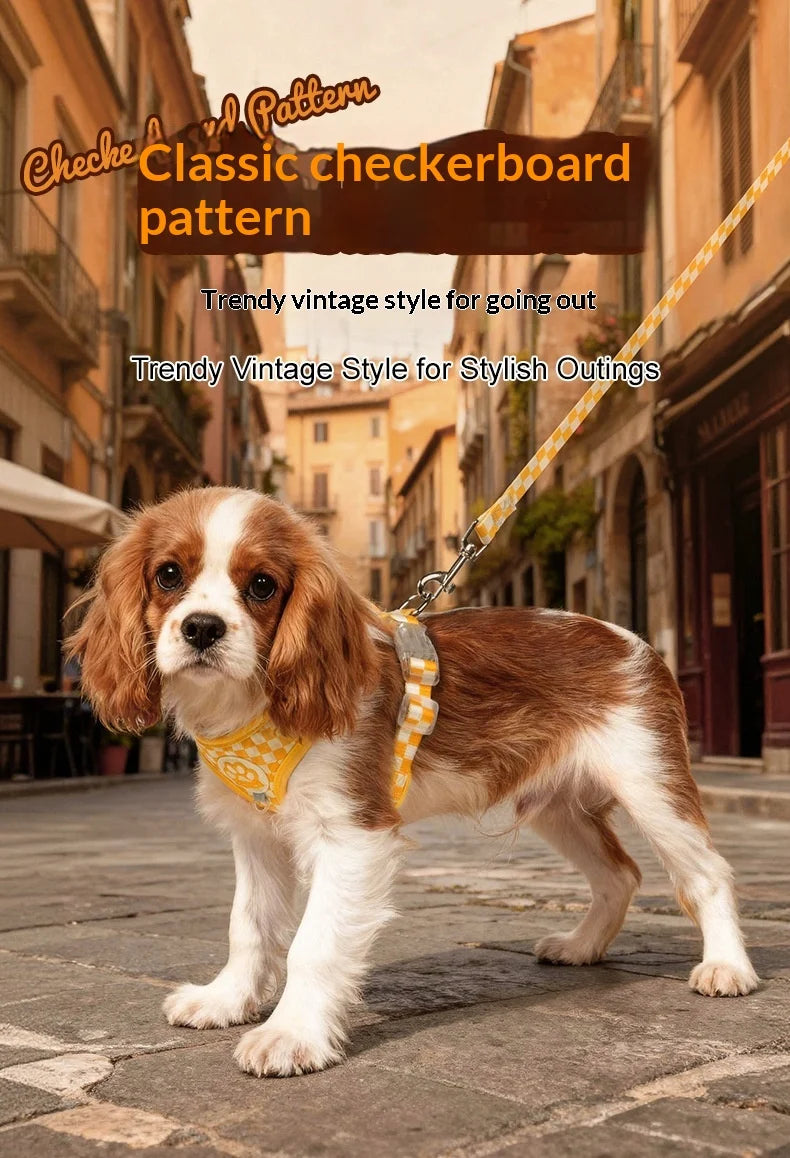 A small, fluffy brown and white dog wearing a yellow checkered harness and leash walking outdoors.