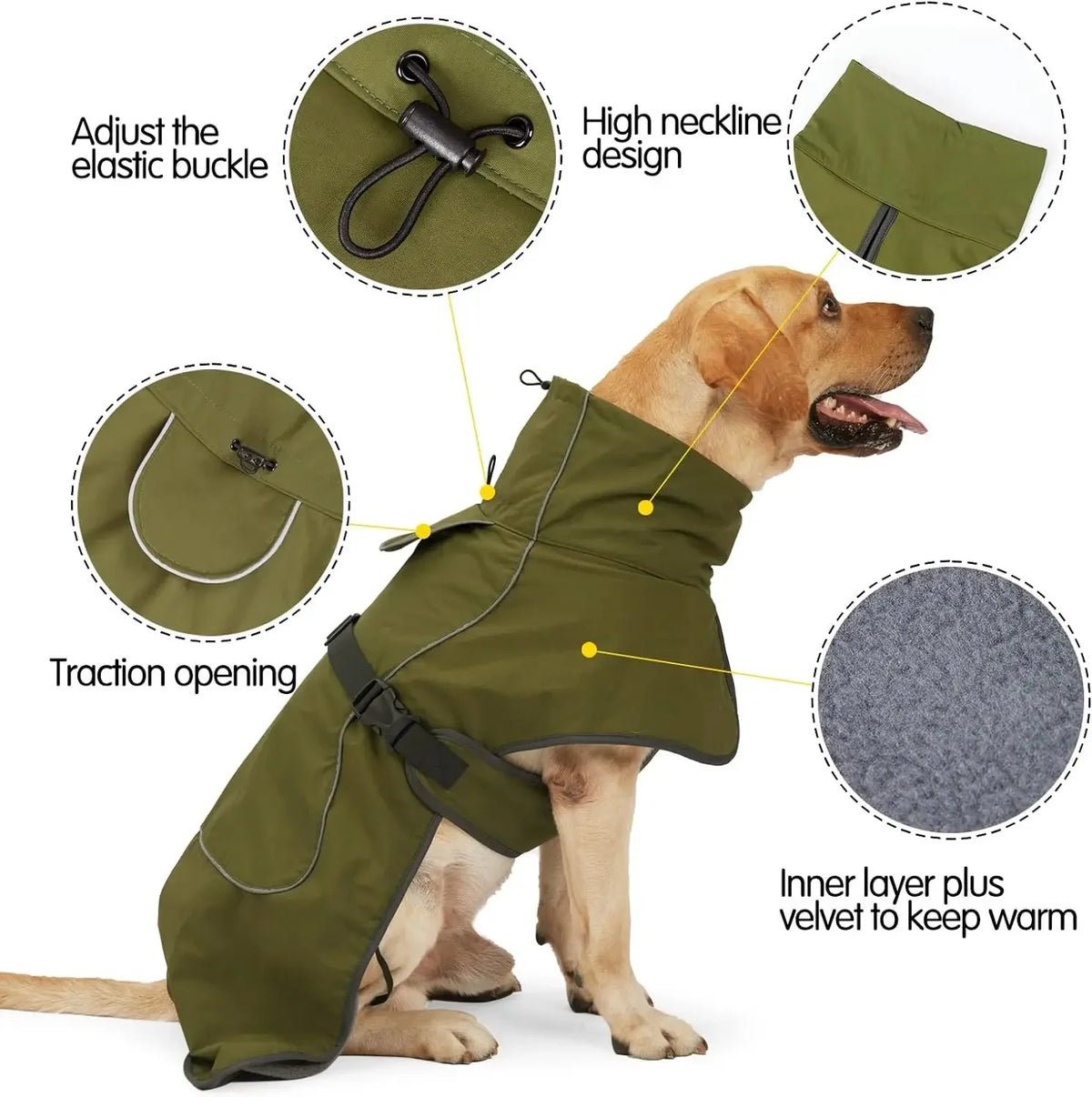 Manteau anti-vent pour chien vert olive avec boucle élastique et col montant.