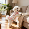 A fluffy white dog wearing a red and white cherry ruffle dress relaxing on a light-colored sofa.