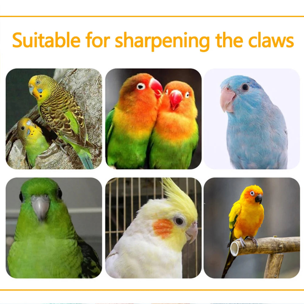 Juguete de percha para loro colorido, apto para afilar las garras, junto a varios loros.