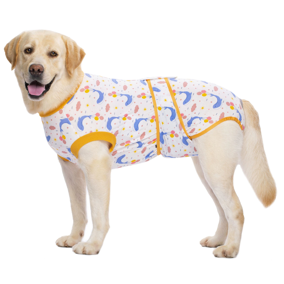Un Labrador de couleur claire portant une combinaison de récupération à motifs avec des bordures jaunes.