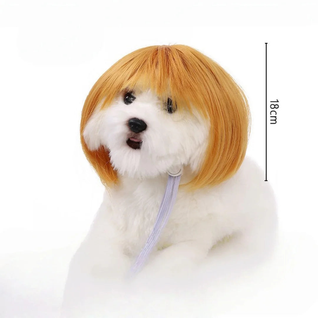 Flauschige weiße Hund-Perücke mit orangefarbenen Ohren und einem hellblauen Riemchen vor weißem Hintergrund.