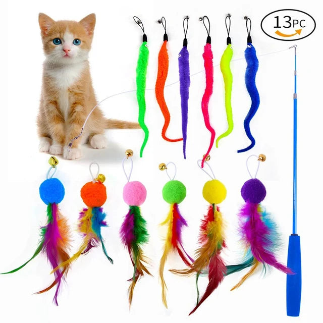 A variety pack of interactive cat toys featuring feathers and plush attachments, including a kitten and several colorful dang