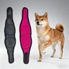 Ein flauschiger brauner Hund steht neben zwei schwarze und rosa, verstellbare Gehörschutz-Ohrhörer.