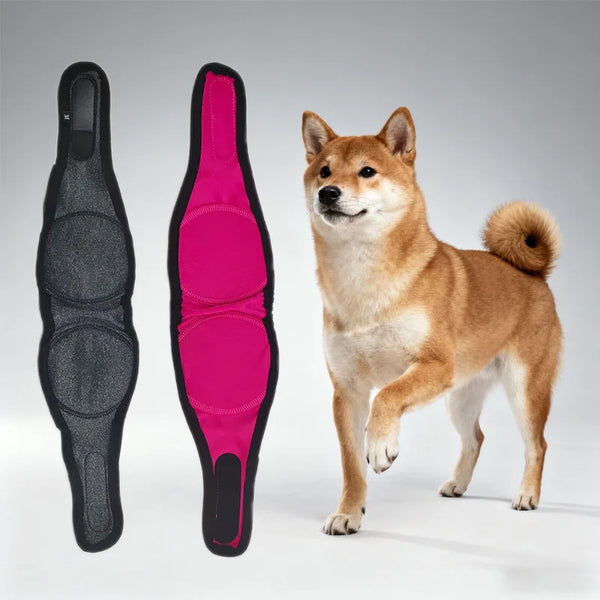 A fluffy brown dog stands next to two black and pink adjustable hearing protection earmuffs.