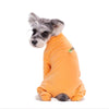 Un perro pequeño gris y blanco vistiendo un traje de licra térmica naranja.