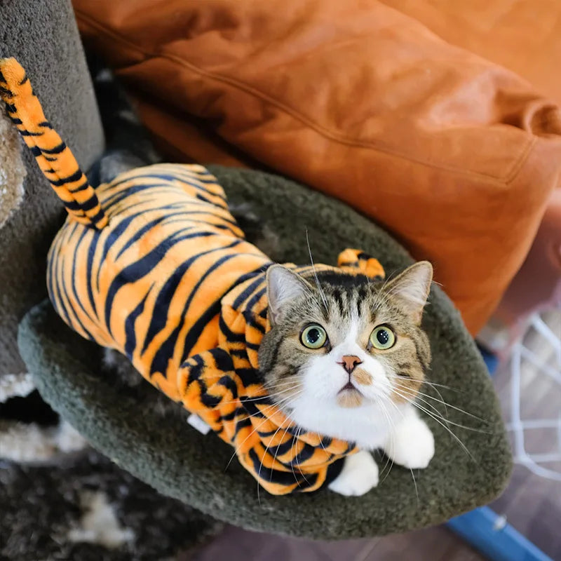 Un chat tigré portant un pull en polaire orange et noir rayé, posé sur une surface de tissu vert.