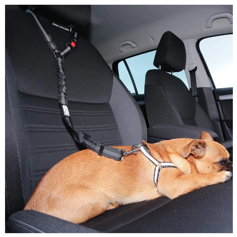 Un perro de color marrón claro está descansando en un asiento de coche con una correa ajustable para mascotas atada al asient