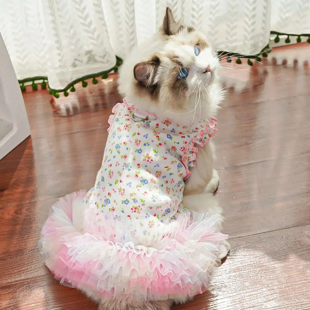 A fluffy gray and white cat wearing a floral princess dress with pink ruffled trim.