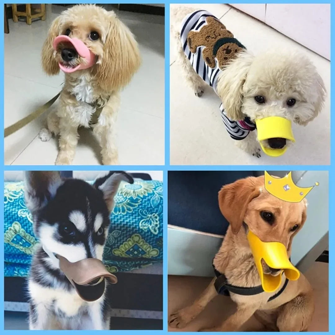 A dog wearing a yellow silicone duckbill muzzle and a striped collar, shown in various poses.