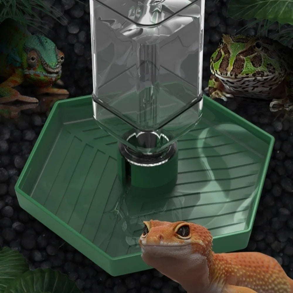 A clear glass water dispenser bowl sits on a green tray, surrounded by various reptiles.