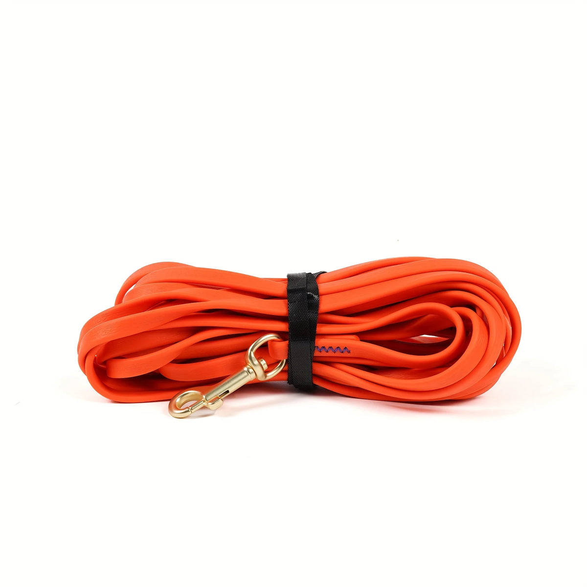 Orange heavy-duty waterproof dog leash with a black collar and gold clip.