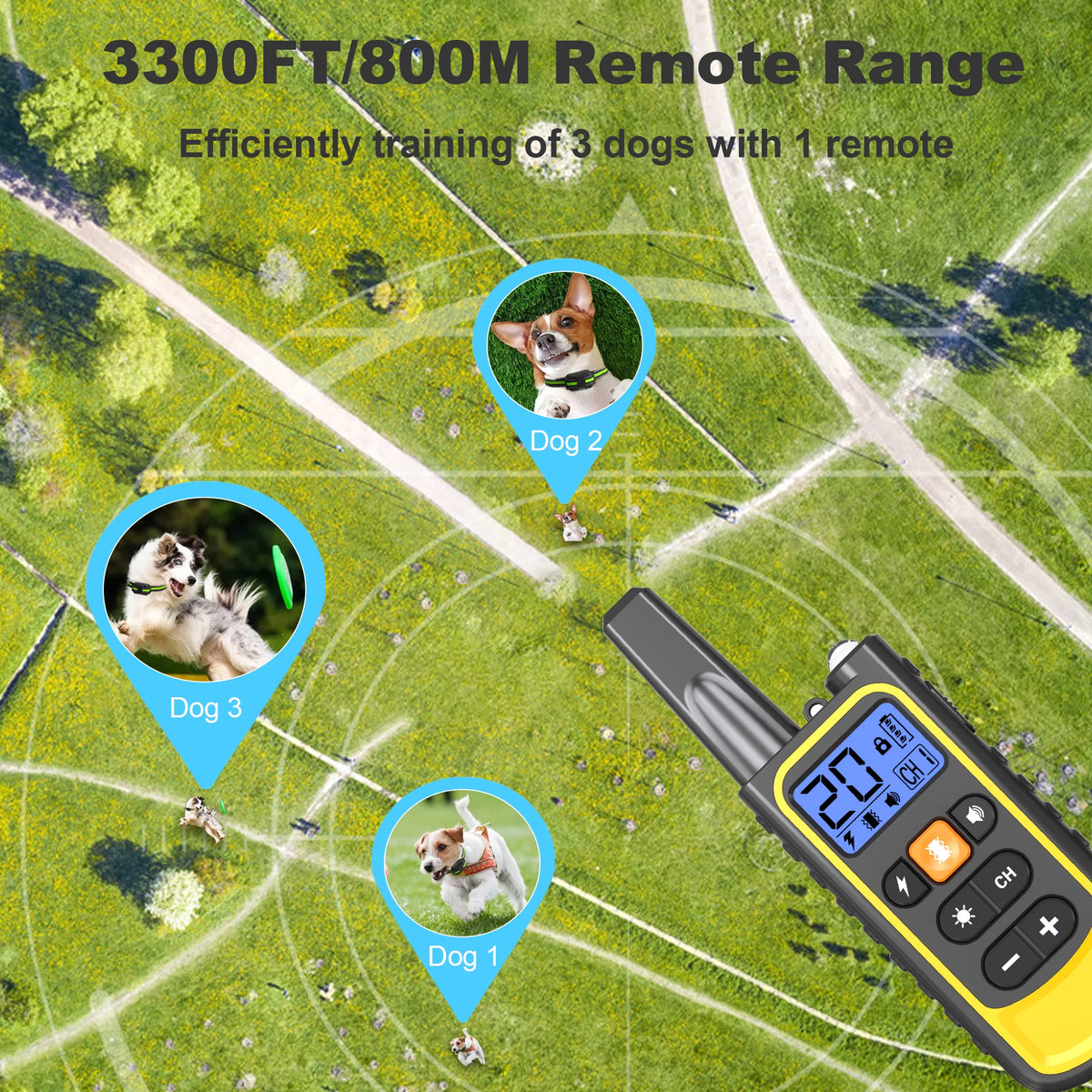 Fernbedienung mit drei Hund-Icons, die eine Reichweite von 3300 ft/800m für das Training anzeigen.