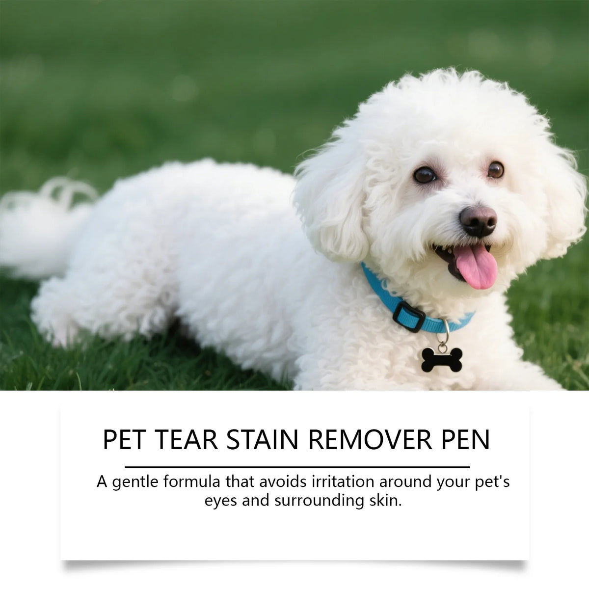 A fluffy white dog is shown next to a bottle of pet tear stain remover pen.
