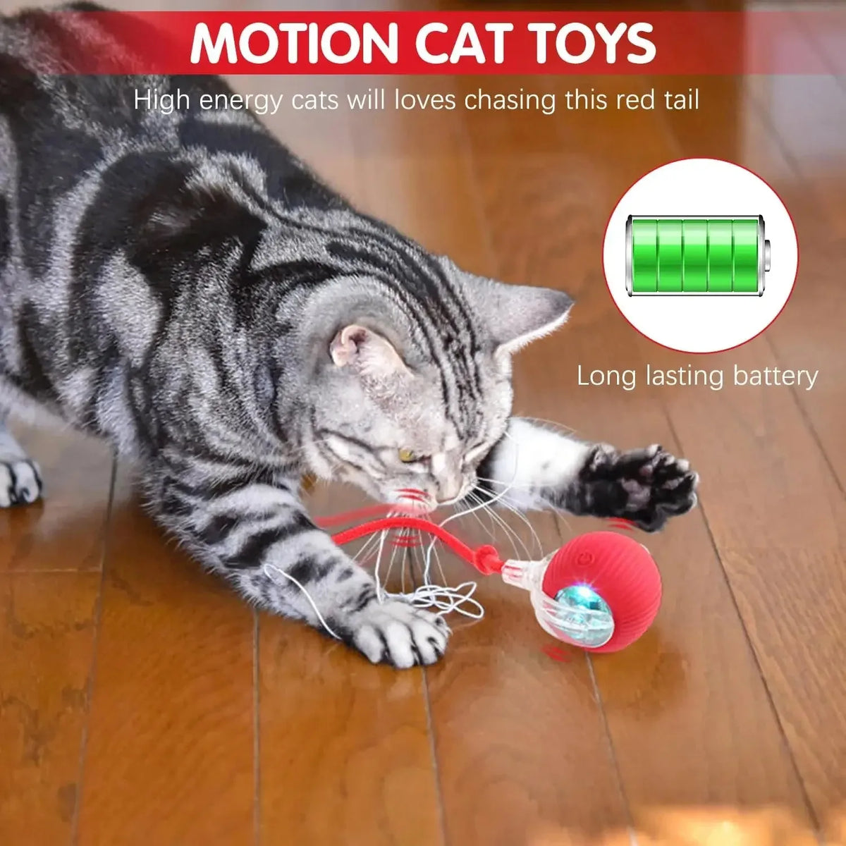 A tabby cat is playing with a red tail motion cat toy ball on a wooden floor.