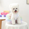 A fluffy white dog wearing an elegant birthday suit made of white tulle and pink fabric.