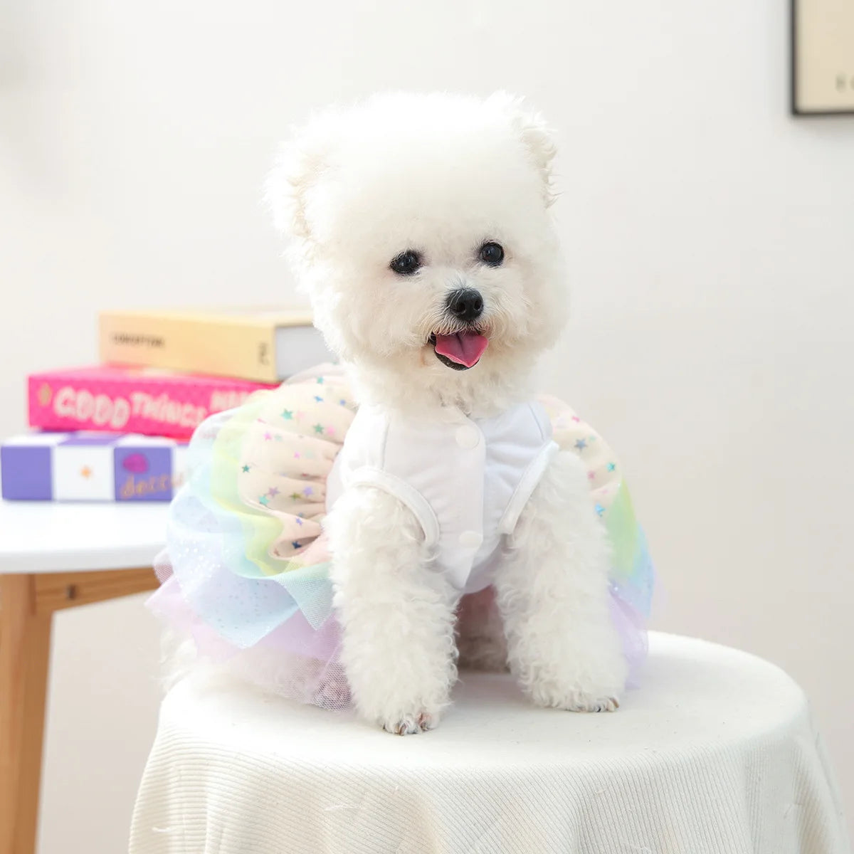 A fluffy white dog wearing an elegant birthday suit made of white tulle and pink fabric.