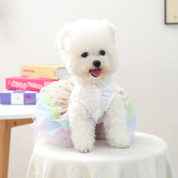 A fluffy white dog wearing an elegant birthday suit made of white tulle and pink fabric.