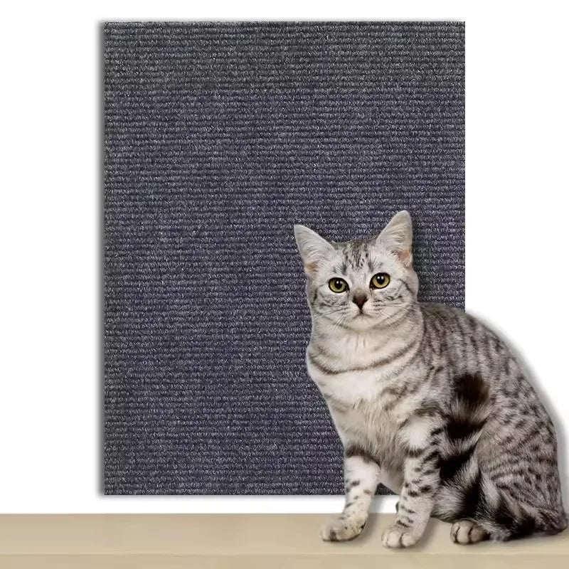 Eine graue Tabby-Katze sitzt auf einer dunkelblauen strukturierten Matte.