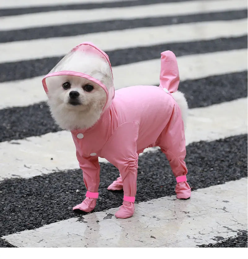 Un petit chien blanc portant un imperméable rose et des bottes assorties sur une surface rayée noir et blanc
