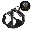 A black LED dog harness with reflective strips is shown against a white background, with an inset showing the light feature.