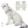 Une tenue de récupération vétérinaire vert clair pour chat, portée sur un chat.