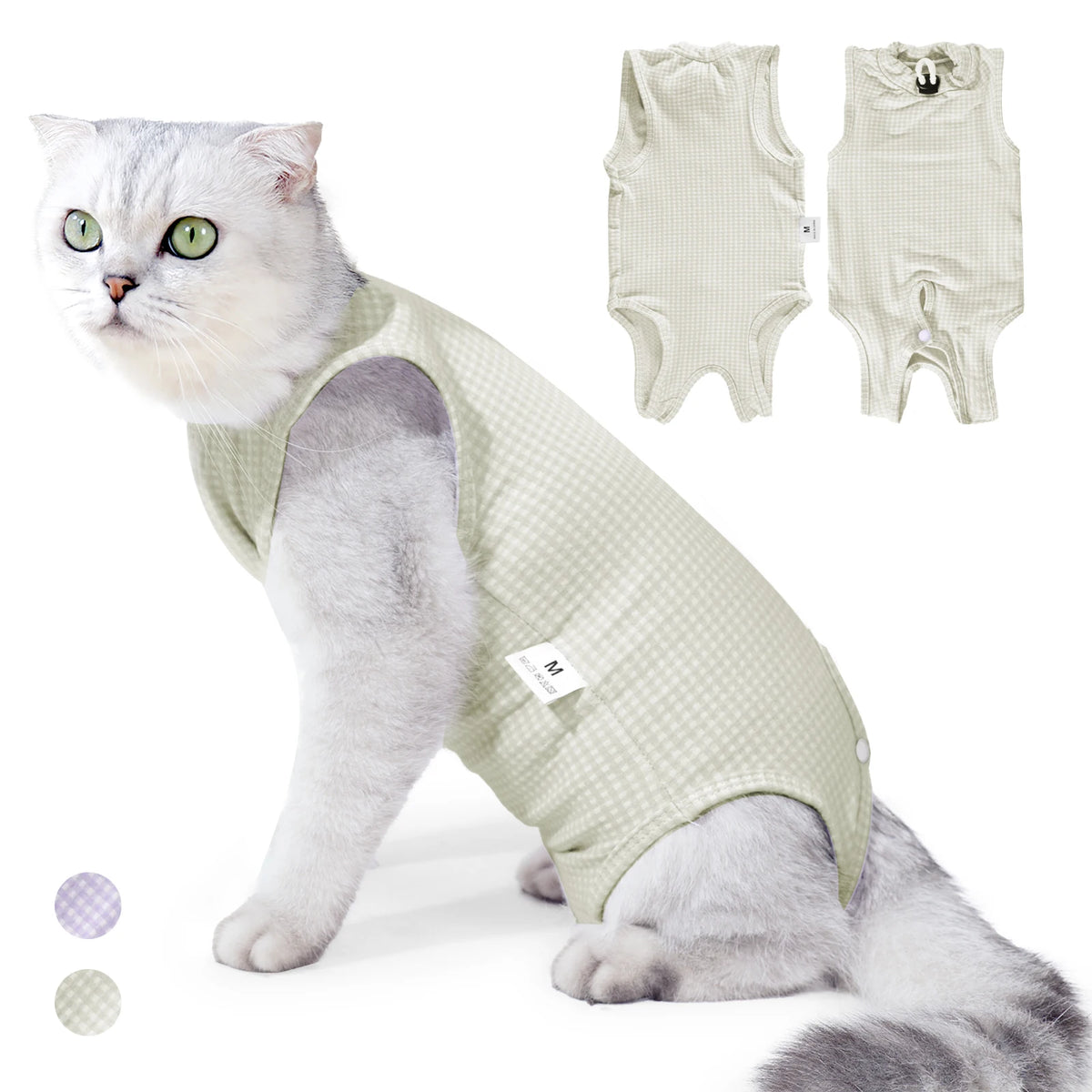 Une tenue de récupération vétérinaire vert clair pour chat, portée sur un chat.