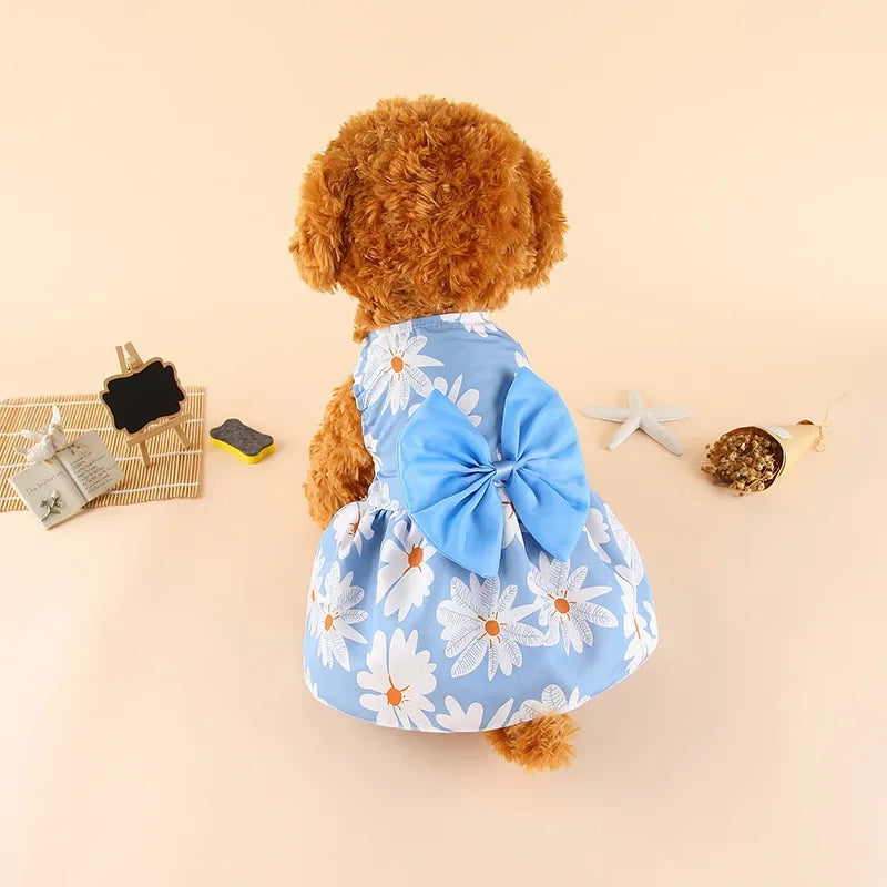 A fluffy brown dog wearing a light blue floral bow dress with white daisies.