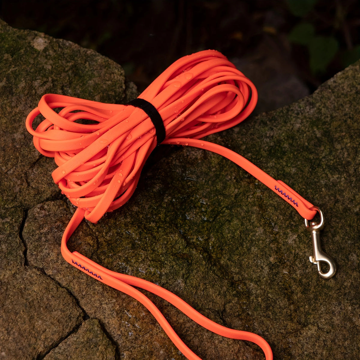 Orange heavy-duty waterproof dog leash coiled on a mossy rock.