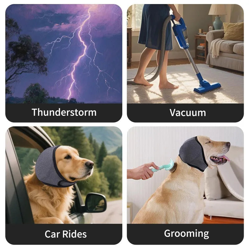 Images showing thunderstorm lightning, vacuum cleaning, dog rides, and grooming a dog with ear muffs.