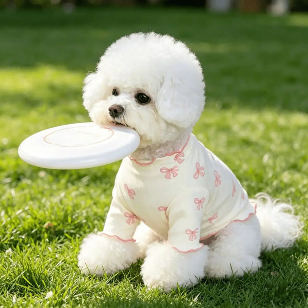 A fluffy white dog wearing a light pink knit sweater with bow ties sits on green grass and holds a white plate.