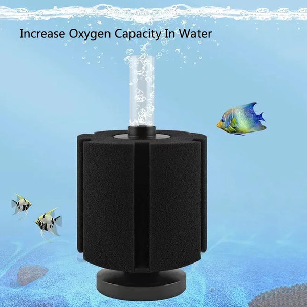 A black biochemical sponge filter is shown with an aeration tube, surrounded by blue water and a small fish.