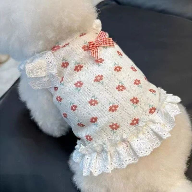White floral print vest with lace trim on a fluffy white pet.