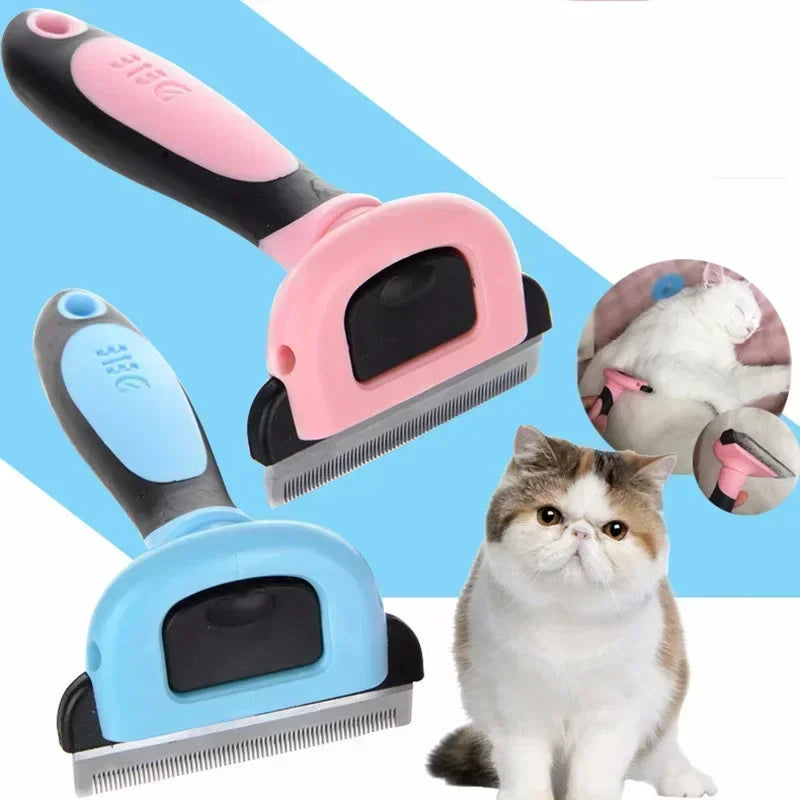 Pinkes Tierpflege-Kamm- und Rasierer-Set neben einer flauschigen weißen Katze.