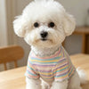 A fluffy white dog wearing a striped cotton t-shirt with pink trim.